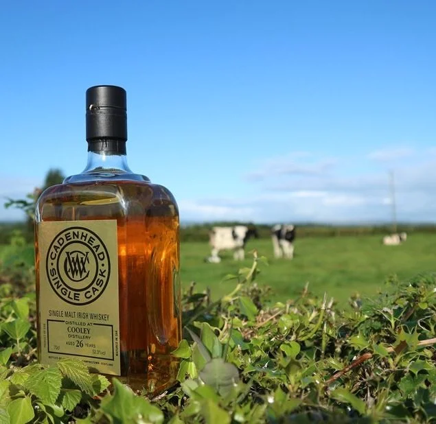 A Brace of Cooley 1992 Single Malts — Dramface